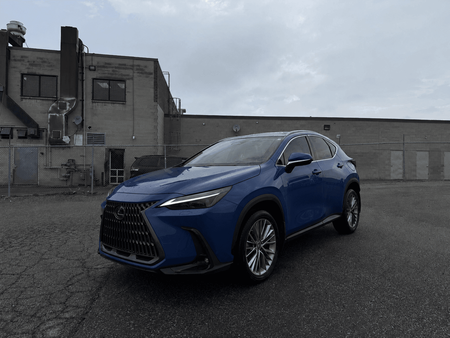 2024 Lexus NX 350