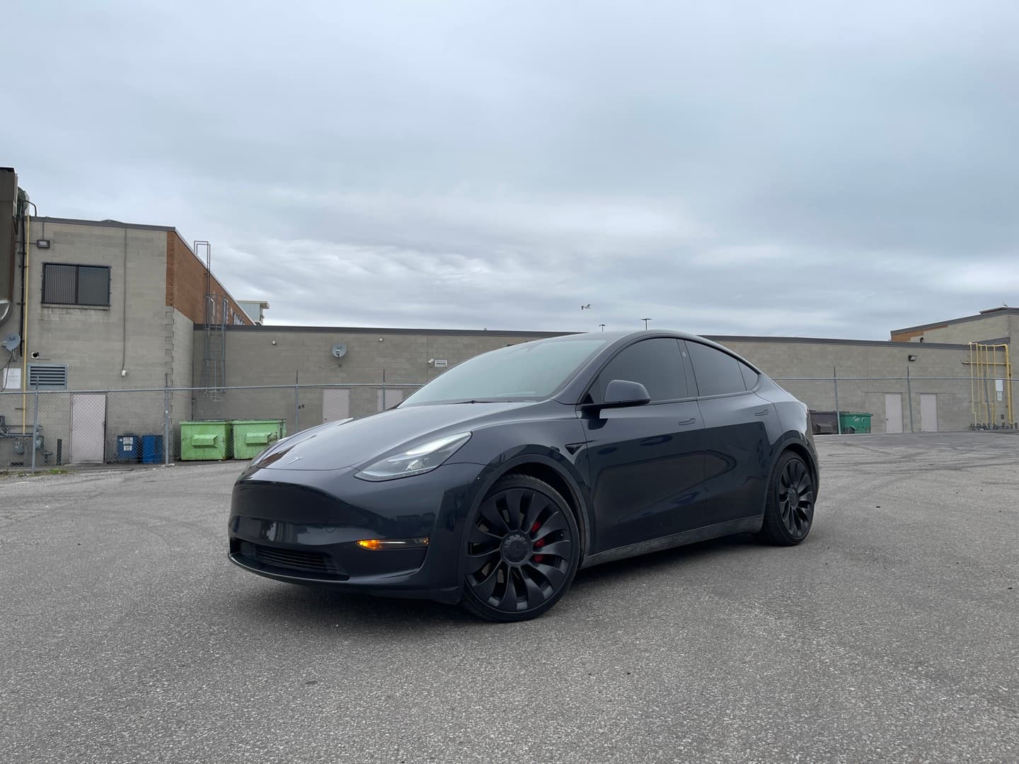 2025 Tesla Model Y