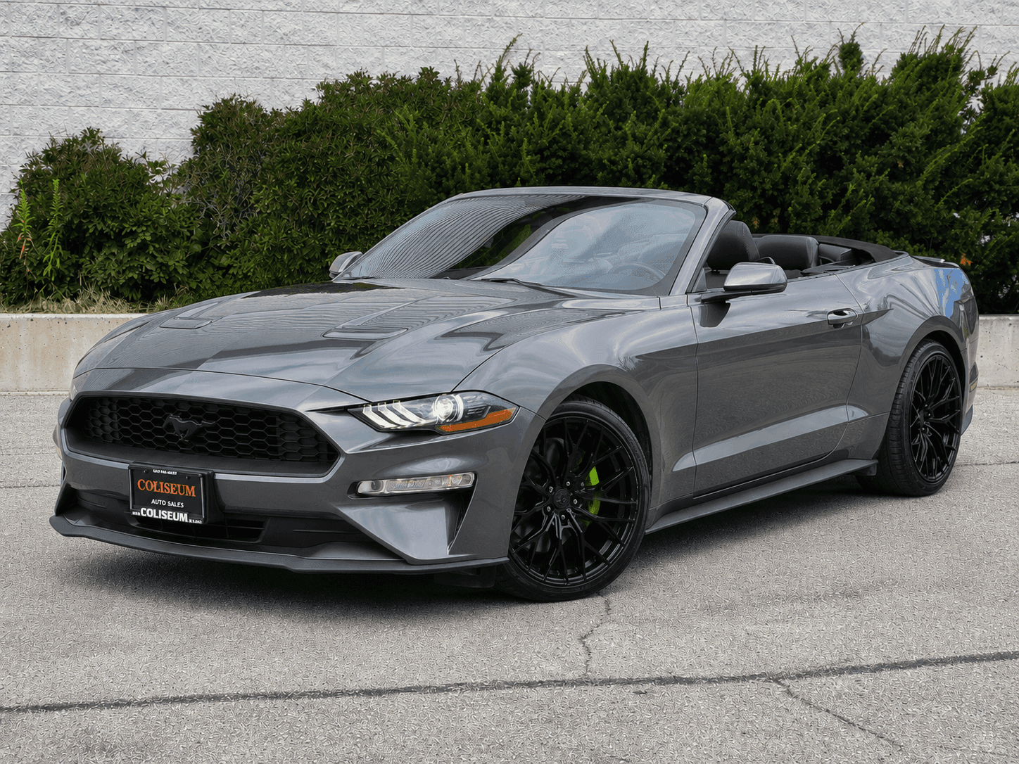 2019 Ford Mustang